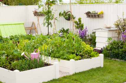 Organic Gardening For Tight Spaces